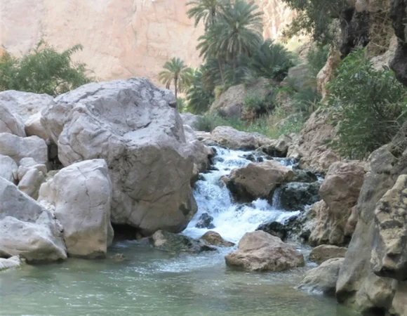 Paradise Valley Escape