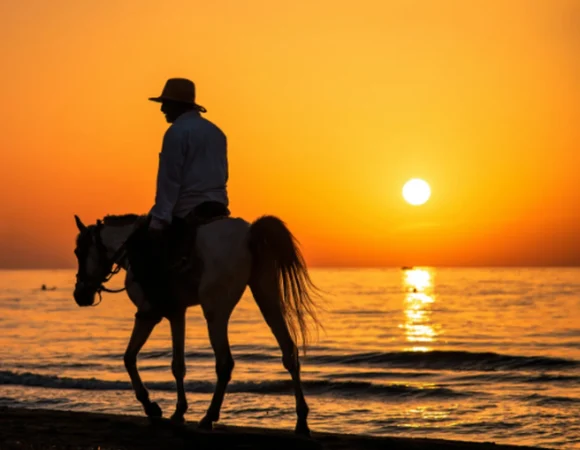 Horse Riding on the Beach