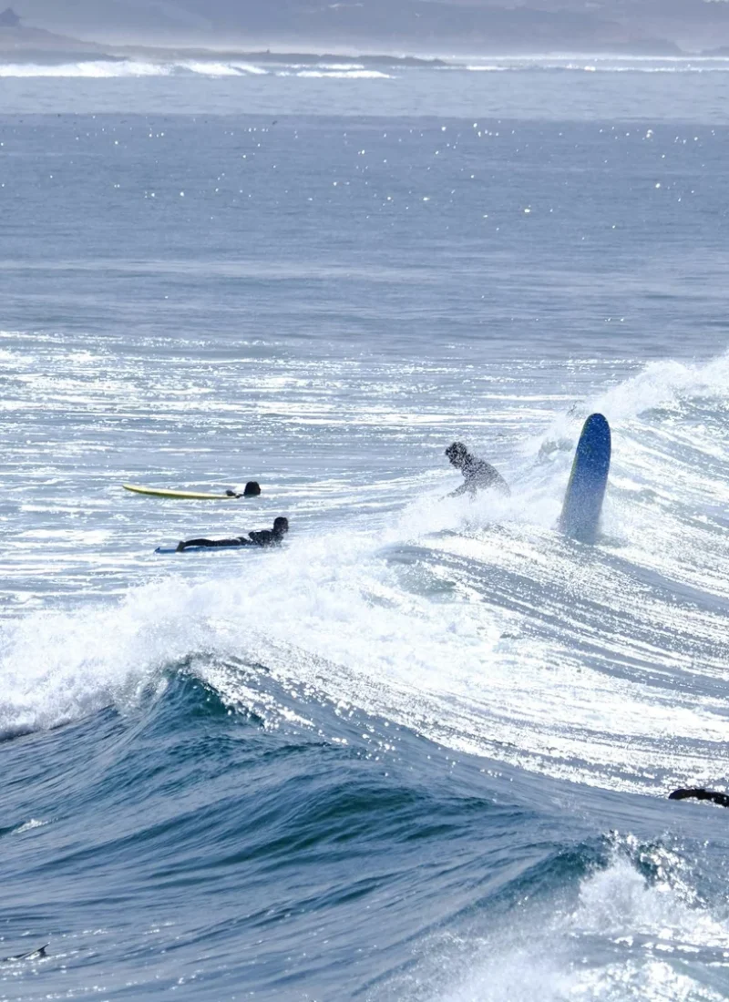 image00002_2560_1441_1920_1081