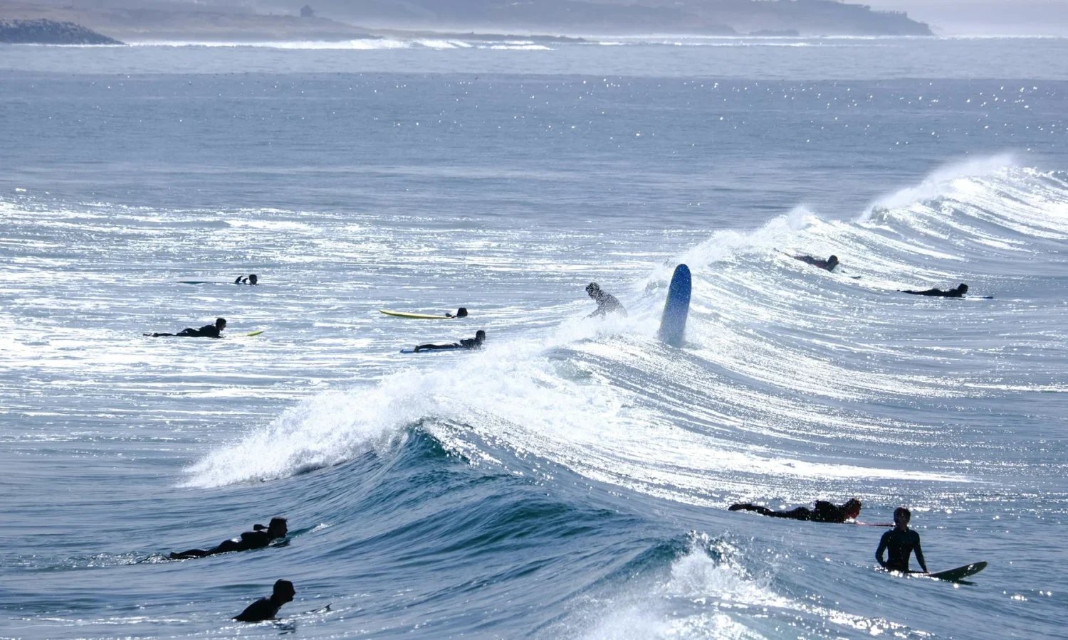 image00002_2560_1441_1920_1081